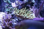 IMG_5216.JPG
