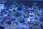 DSC01605.JPG
