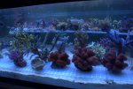 DSC01610.jpg