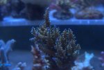 DSC01617.jpg
