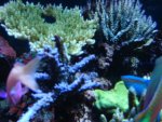 DSC03123.jpg