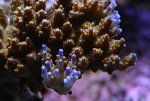 _DSC0030.JPG