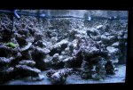 Aqua 30-8-09 Publi.jpg