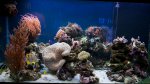 BEL-IMG_0838.jpg