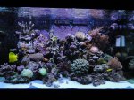 DSC01824 (Medium).JPG