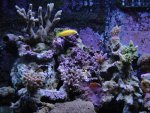 DSC01825 (Medium).JPG