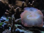 DSC01835 (Medium).JPG