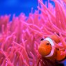 ReefTankProject