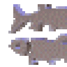 Grapjasper