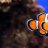 Clownstarfish