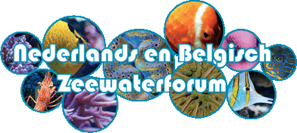 Zeewaterforum.info